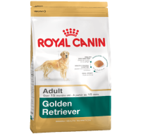 Golden Retriever Royal Canin